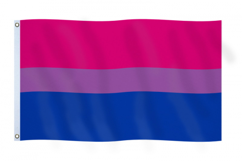 Drapeau 3' X5' communauté Bisexuell